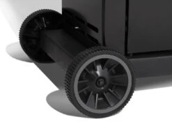 Broil King Royal 320 -Fuego y Brasa Barbacoa de gas Broil King Royal 320 11