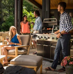 Broil King Regal 690 -Fuego y Brasa Broil King Regal 69015