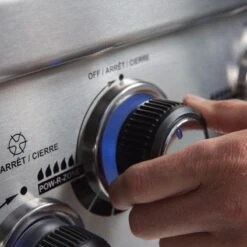 Broil King Regal 690 -Fuego y Brasa Broil King Regal 6907