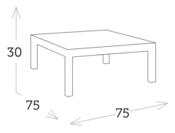 Mesa Centro Cuadrada Cristal Una Gris -Fuego y Brasa Mesa Centro Cuadrada Cristal Una Gris 1