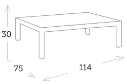 Mesa Centro Rectangular Cristal Una Champagne -Fuego y Brasa Mesa Centro Rectangular Cristal Una Champagne 1