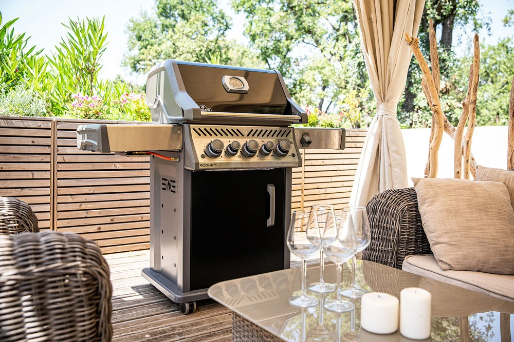 Napoleon Rogue SE 425 Negra Quemador Lateral Y Trasero - Imagen 19